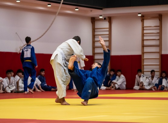 Kəmər dərəcələri üzrə imtahan keçirilib